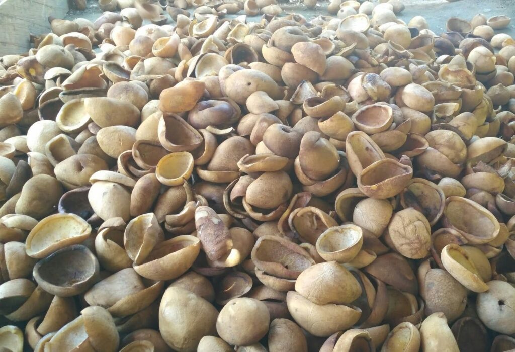Beli Kopra Palembang